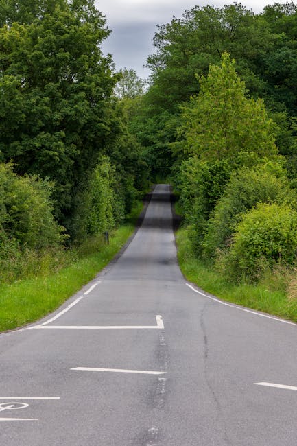 A narrow, rural road leading into a densely wooded area with tall, leafy green trees on both sides. The asphalt surface features white lane markings, including a small intersection or turning point in the foreground. The road appears to gently incline and disappear into the distance among the trees, with natural daylight illuminating the scene. This setting is representative of quiet, countryside pathways often encountered during home relocations or furniture transport in rural areas, aligning with services provided by Man with Van Harefield. The image emphasizes the importance of navigating narrow, tree-lined streets when planning a house move or loading process for furniture and packing materials, highlighting the types of environments that require careful logistical planning during a local move or removal service.